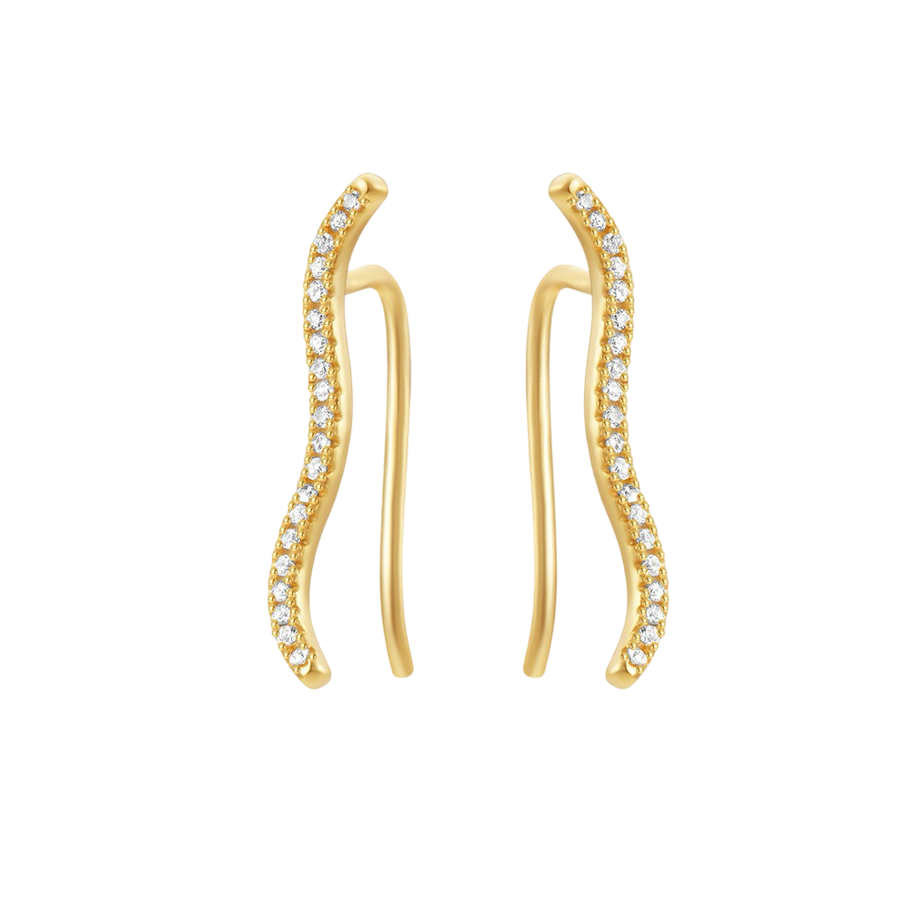 Golden Star Tassel Earrings