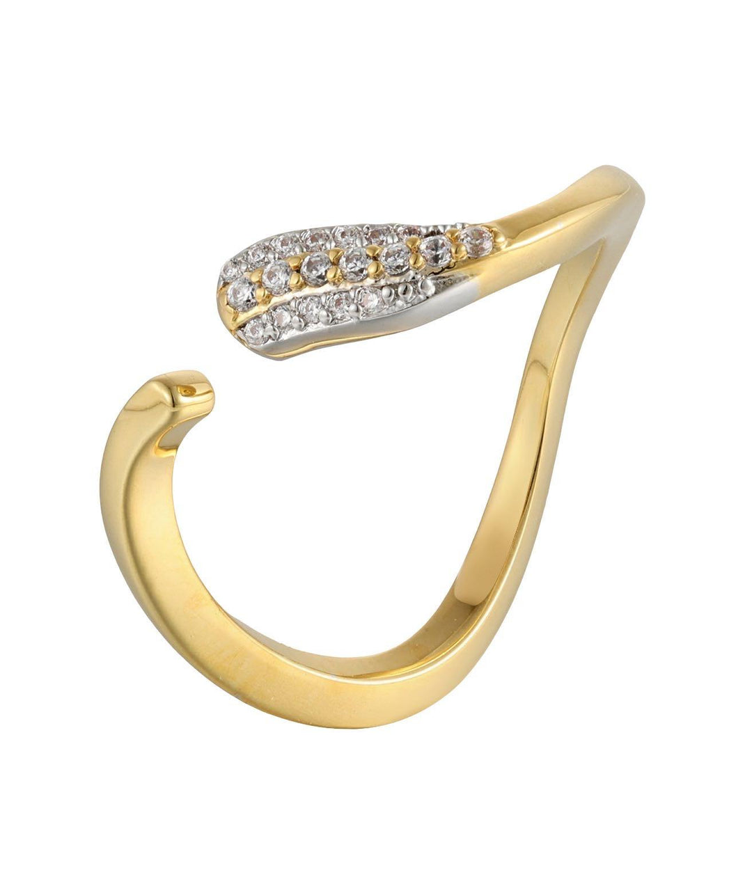 Infinite Ring