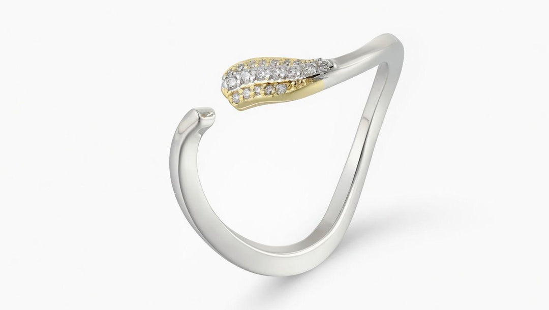 Infinite Ring