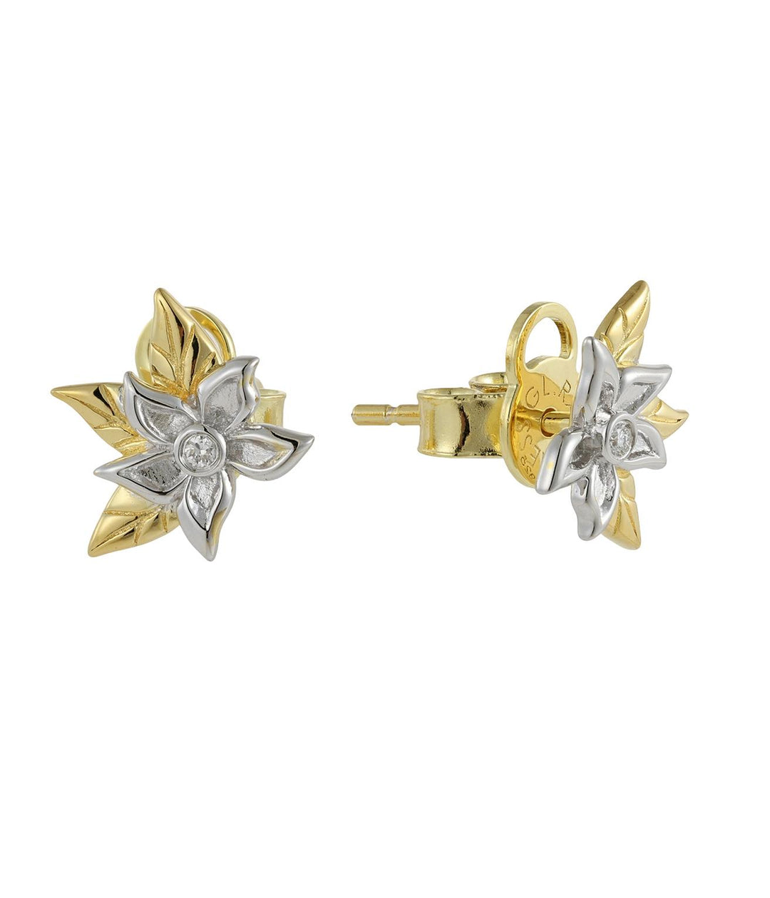 Gilded blossom Earrings